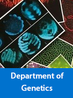 Department of Genetics
