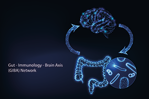illustration of brain, gut and immune system