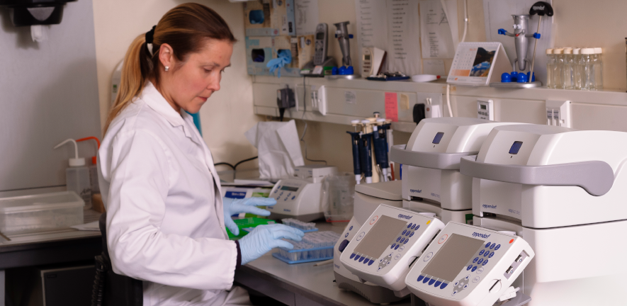 person working with lab equipment