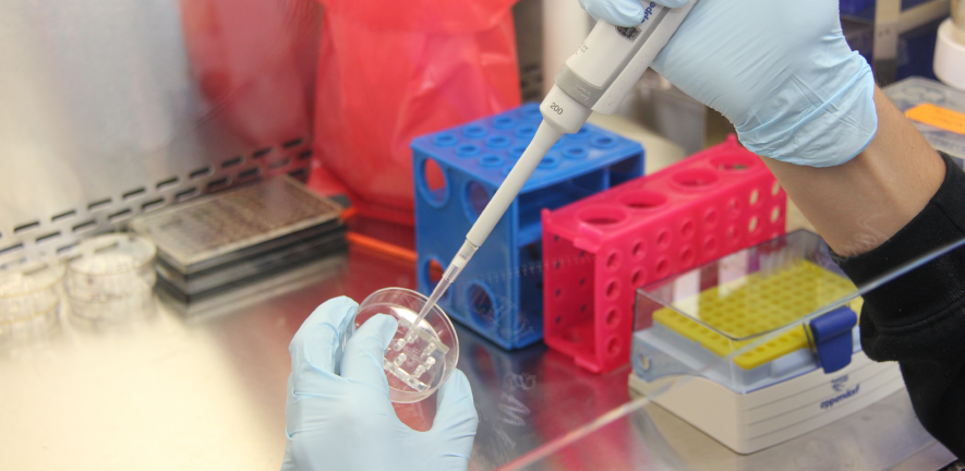 hand holding pipette in lab
